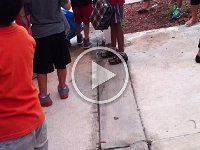 Kids Last Day of School